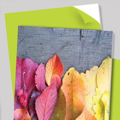 Palight Print Web B 400 X 400 1