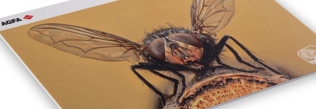 Hero1 Palight Premium 1 1024x354 1